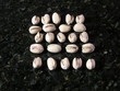squared pistachios