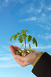 young business series