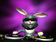 e bunny spinning some vinyl e bunny spinning some vinyl