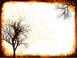 grunge tree