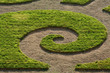 grass grass