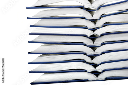 pile of the books