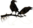 background corbeau