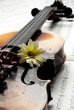 violin with flower on music paper