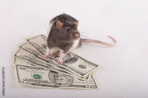 LurkerMadness's avatar - 400 F_2728773_F4FdFG9FmWgbvALragi6PwiNGnt9OH.jpg
