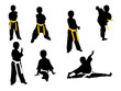 taekwondon chlidren in first stage