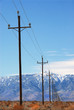 power poles death valley power poles death valley