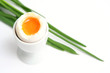 egg