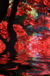 japanese