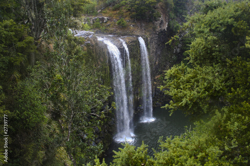 whangarei falls whangarei falls
