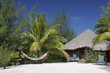 thatched roof hut and hammock