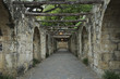 alamo walkway in the evening glow