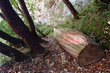 plitvice national park