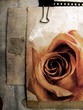grunge rose card grunge rose card
