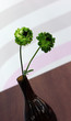 flowers in a vase flowers in a vase