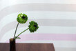 flowers in a vase flowers in a vase