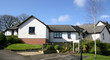 white washed houses