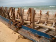 washed up on the beach washed up on the beach