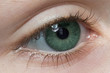 the green eye