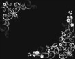 floral background