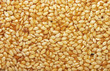 sesame seeds in sesame oil