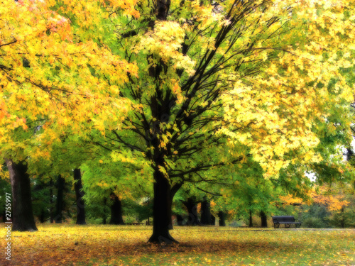 Photo: downtown yellow downtown yellow