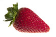 fragola01