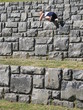 little rock-climber