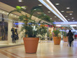 galerie commerciale