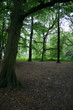 trent park magic