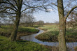 beautiful stream in spring