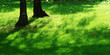 grass