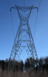 huge electricity pylon in the forest