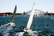 yacht regatta at sydney harbor