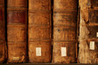 spine detail