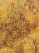 painted texture painted texture