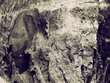 village texture ii