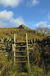 yr aran yr aran