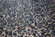 stone floor texture