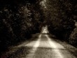 Photo: katy trail katy trail