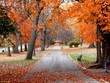 tower grove autumn