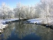 suddenly last winter
