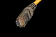 network plug