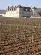 domaine viticole