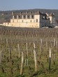 domaine viticole