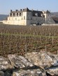 domaine viticole domaine viticole