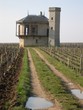 vignoble