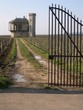 domaine viticole