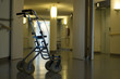 walker in the hall
