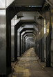 Photo: secret path secret path